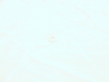 Krúžok "O" 6x2 Si-LIAZ, MTS